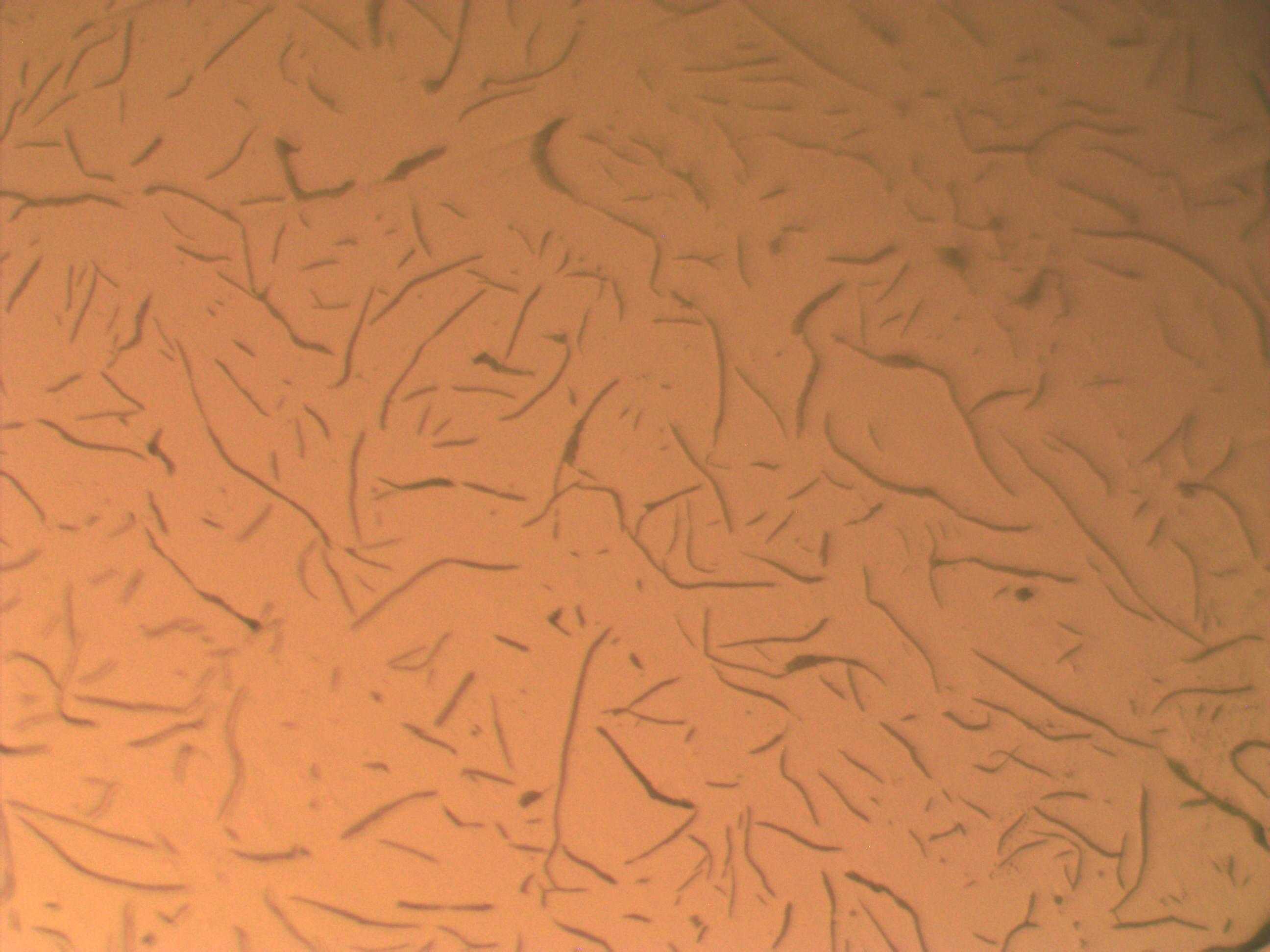 lamellar2_G1